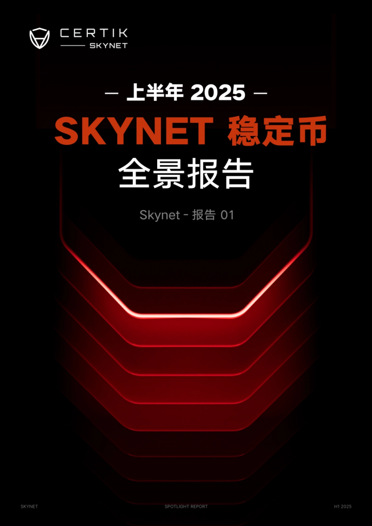 2025年上半年Skynet稳定币全景报告_第1页