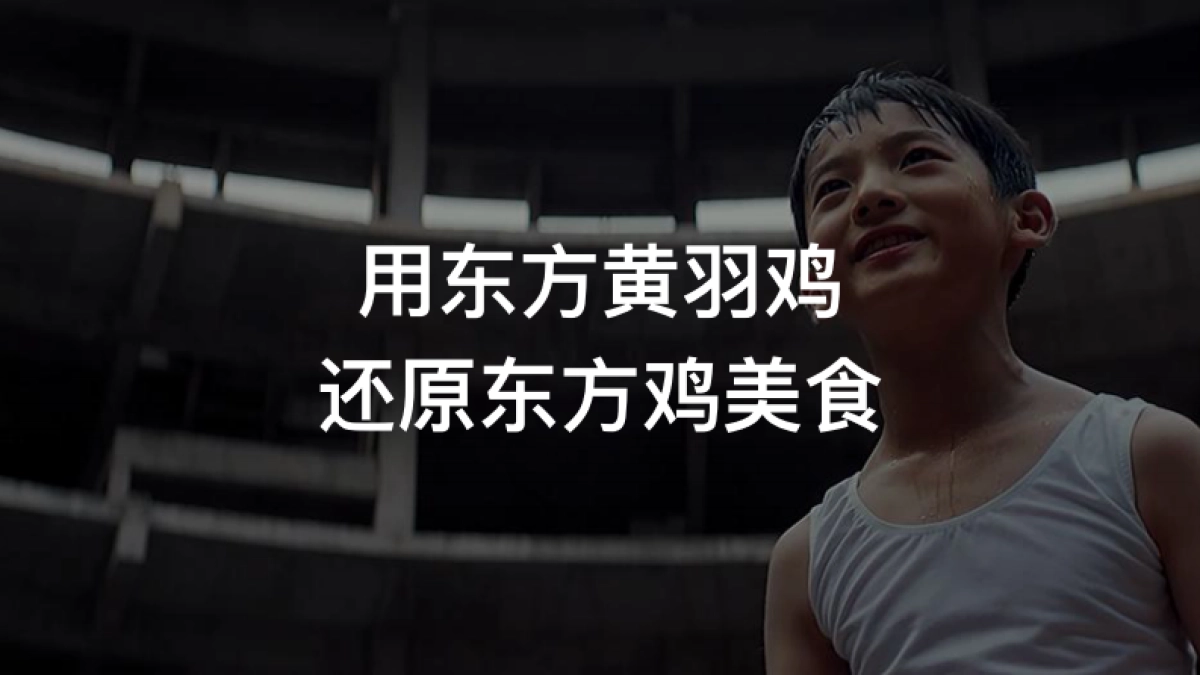 东方黄羽品牌顶层设计与设计_第10页