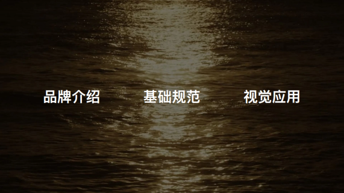 东方黄羽品牌顶层设计与设计_第3页