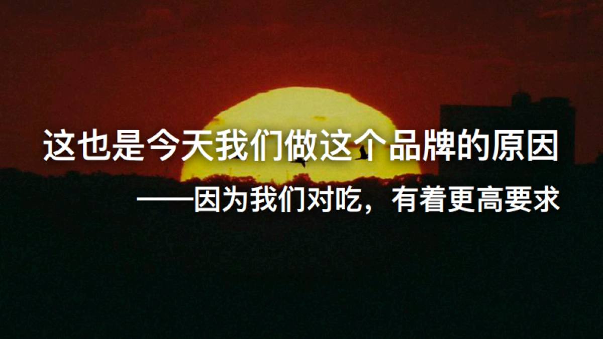 东方黄羽品牌顶层设计与设计_第6页