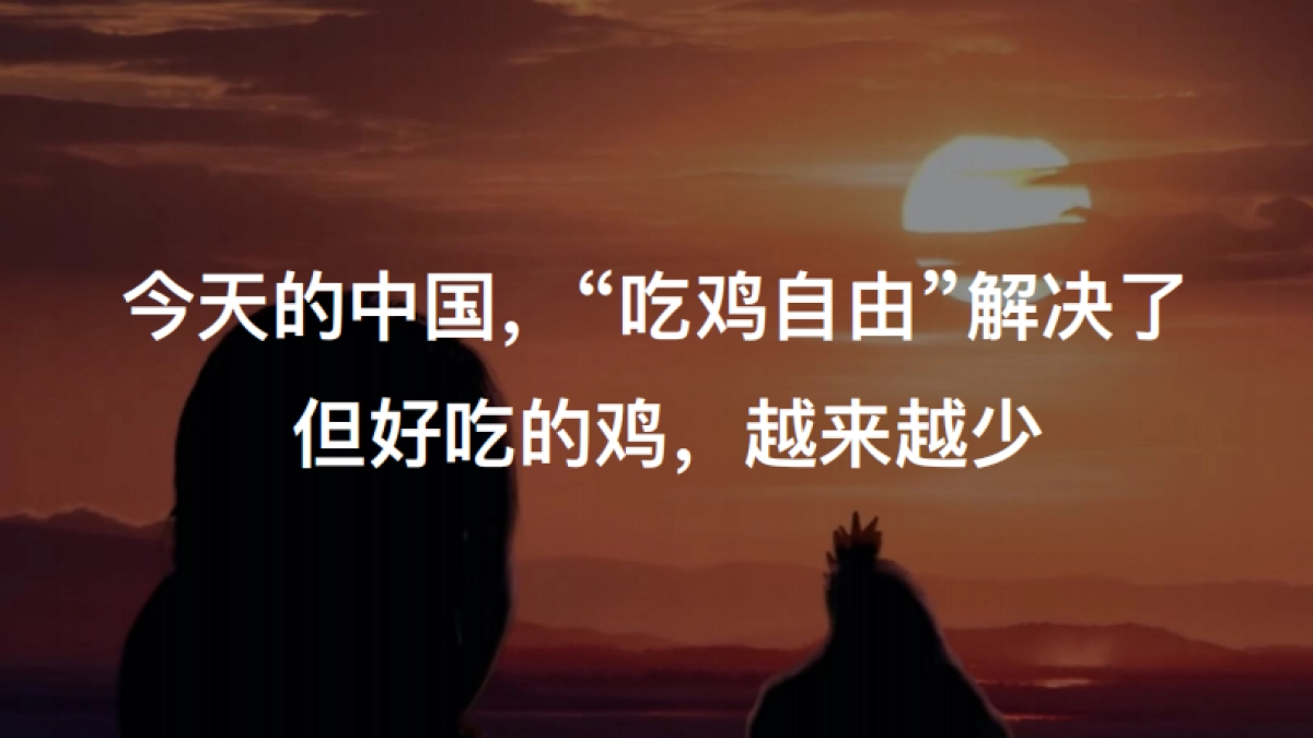 东方黄羽品牌顶层设计与设计_第7页