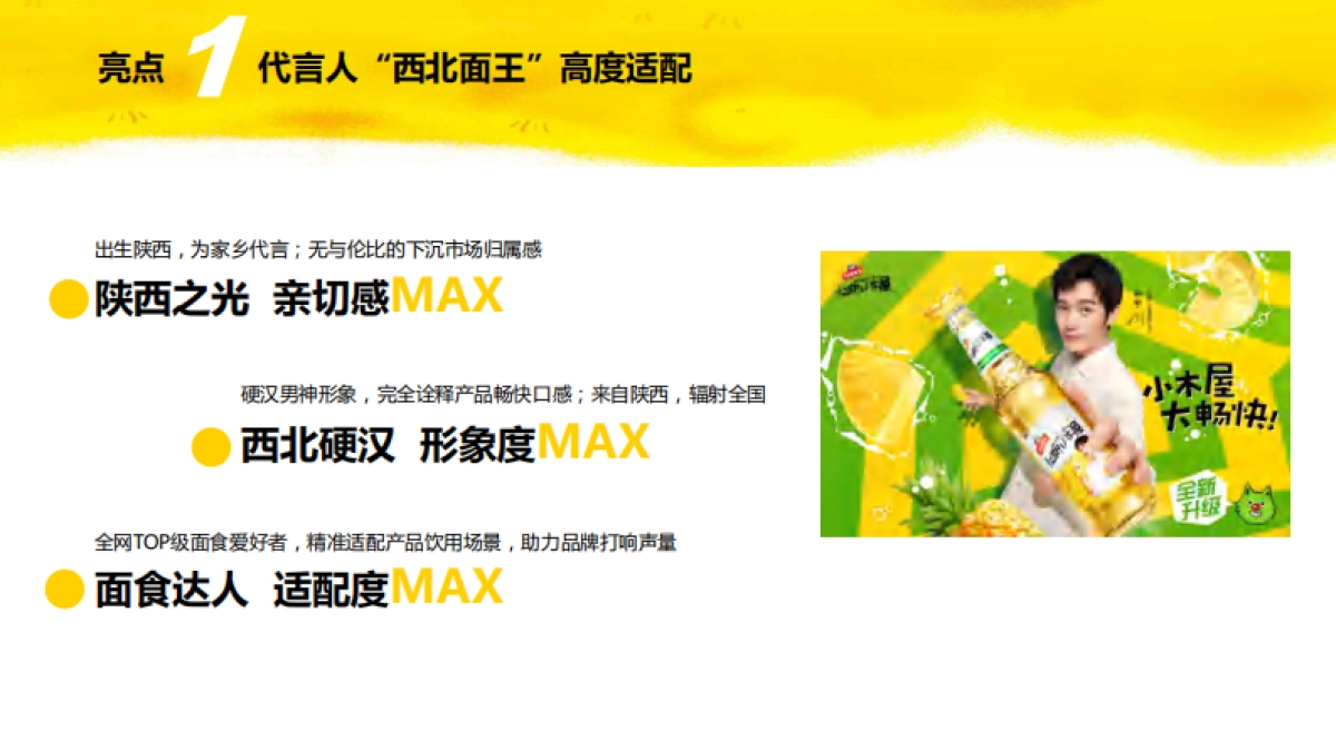 汉斯小屋品牌升级整合营销_第10页