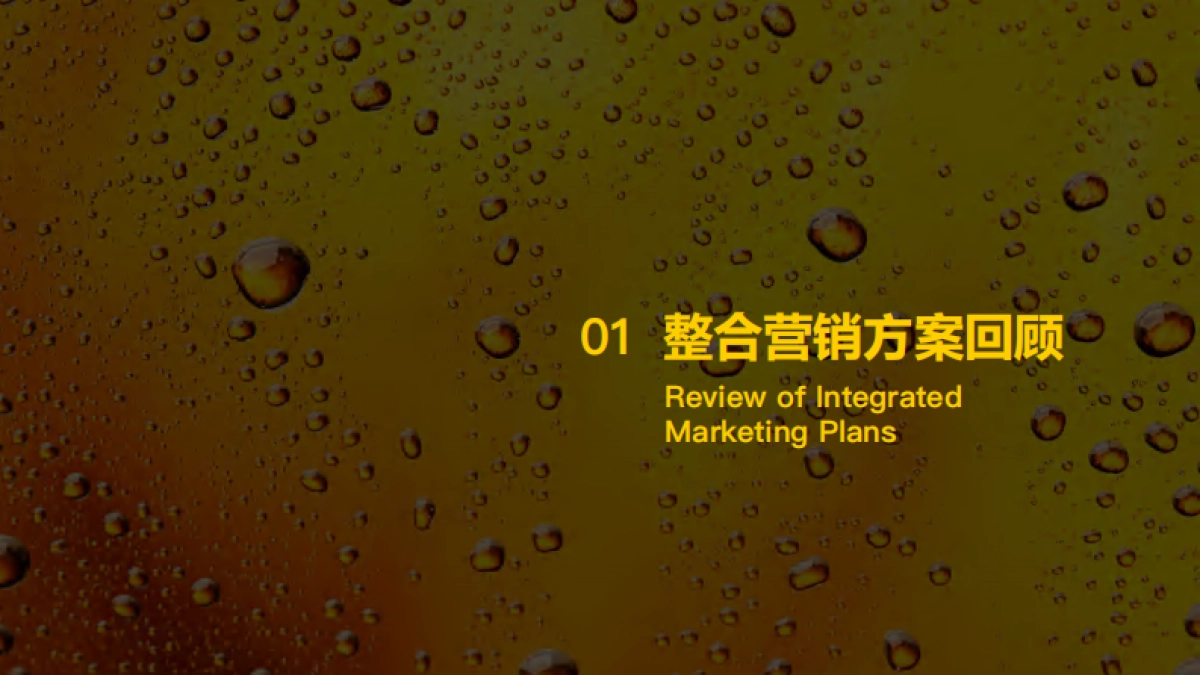 汉斯小屋品牌升级整合营销_第3页