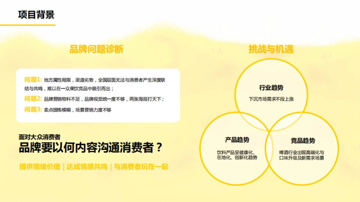 汉斯小屋品牌升级整合营销_第4页