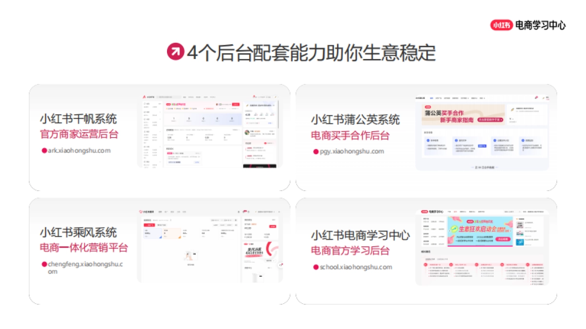 2025小红书电商简介_第4页