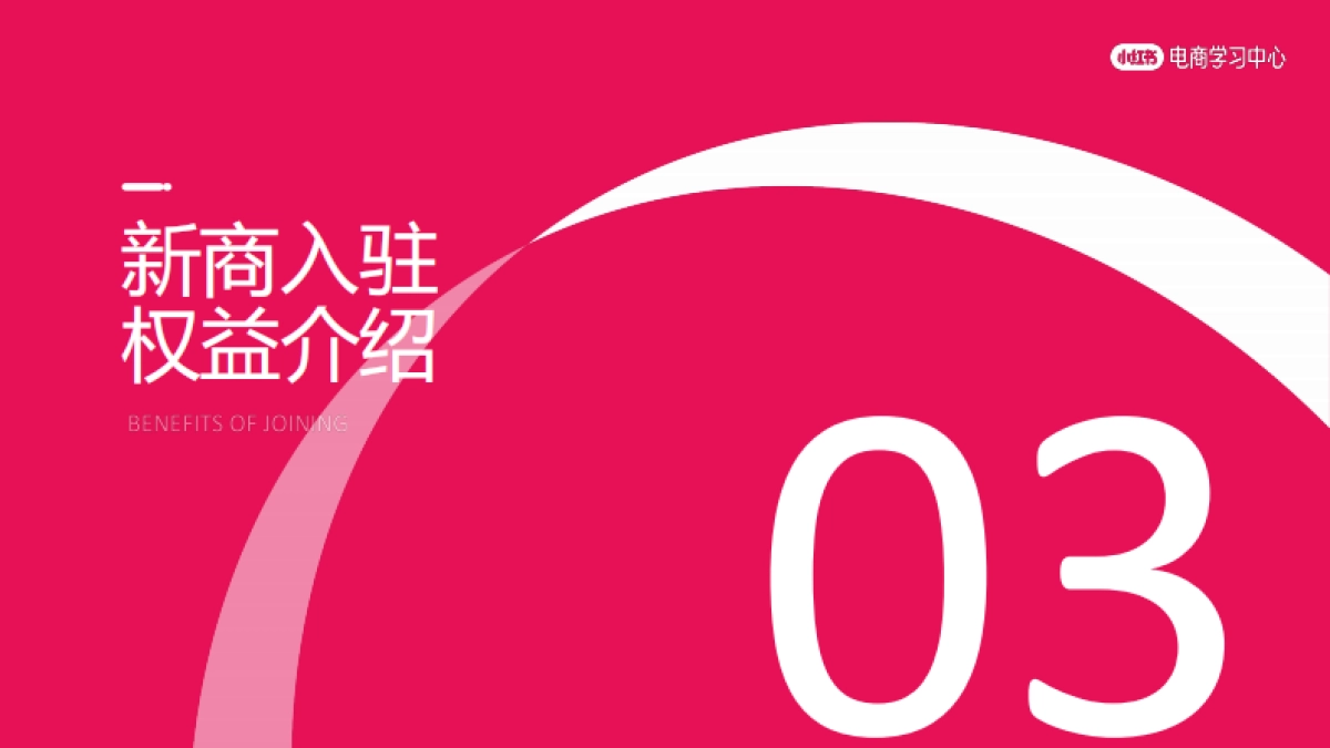 2025小红书电商简介_第7页