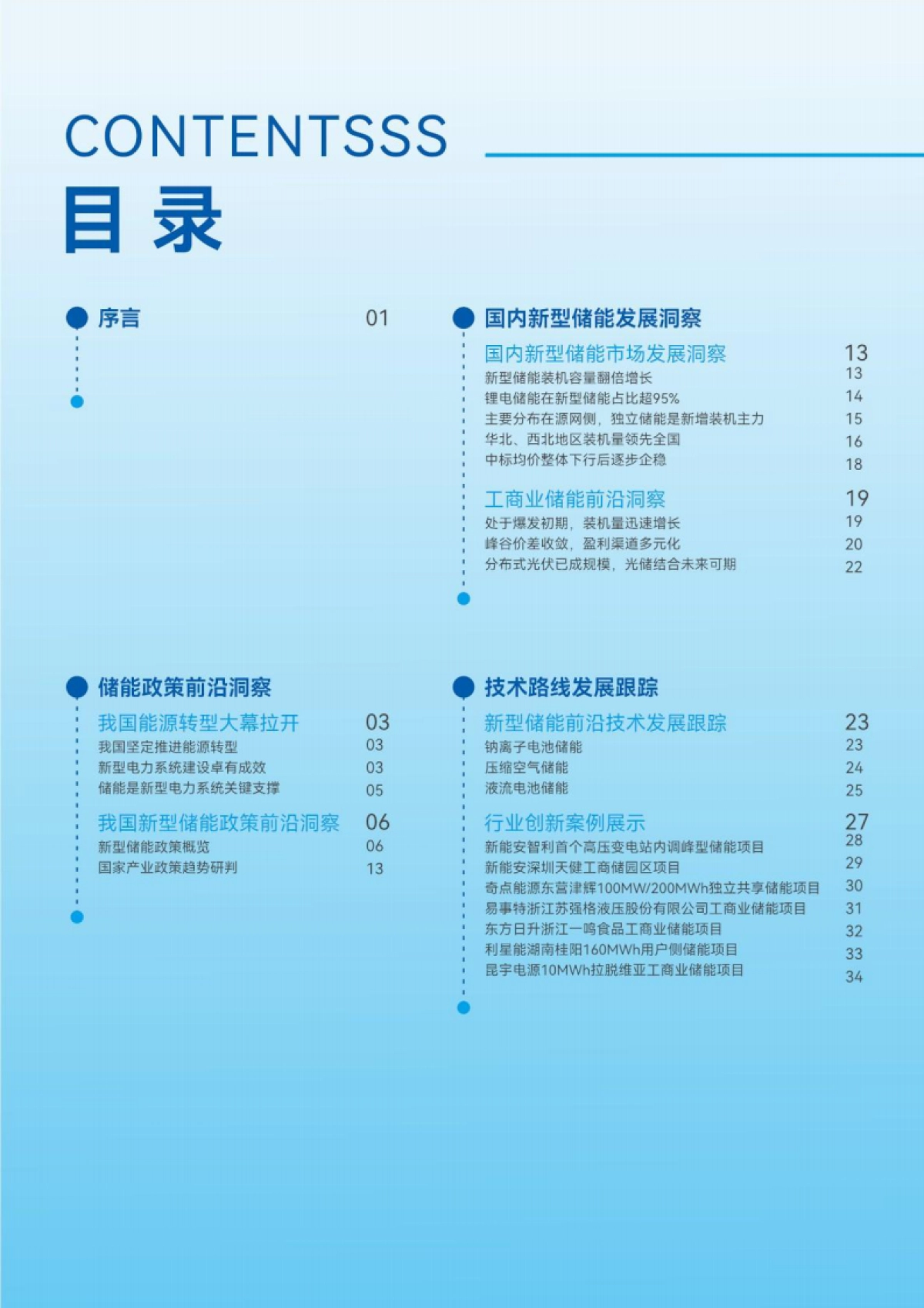 2025中国新型储能应用蓝皮书_第4页