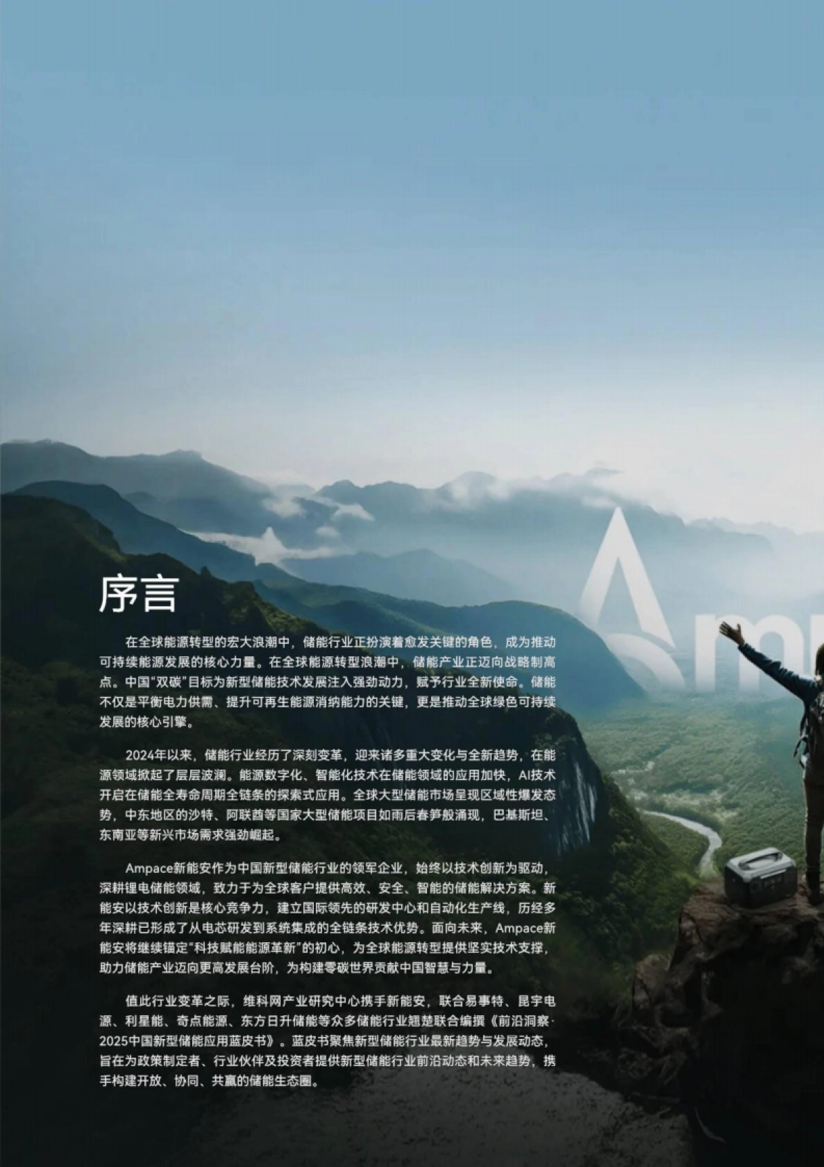 2025中国新型储能应用蓝皮书_第6页