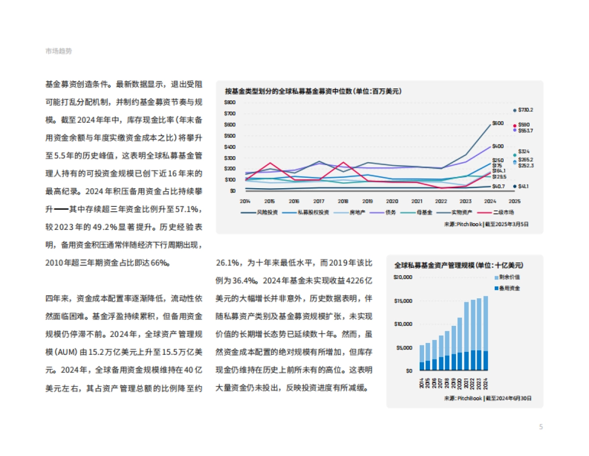 2025年全球私募基金募资报告_第5页