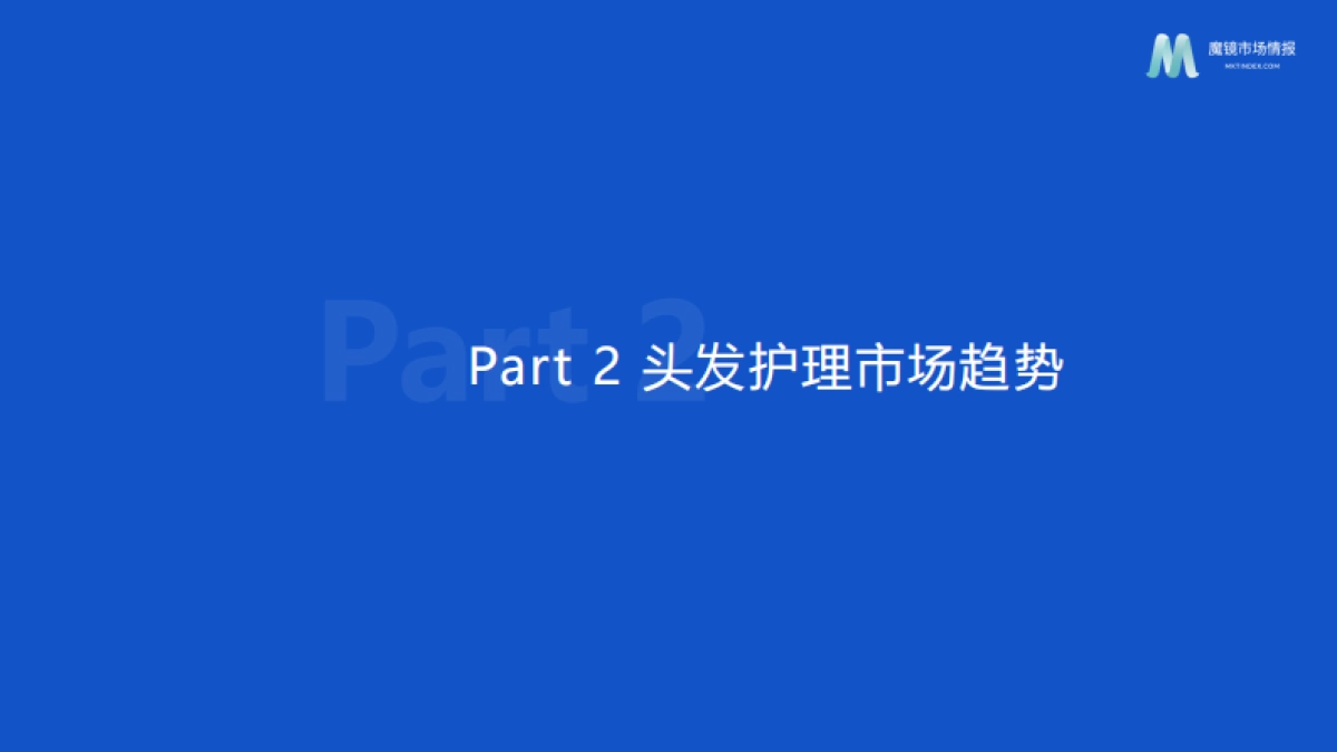 2025个人洗护市场趋势洞察报告_第9页