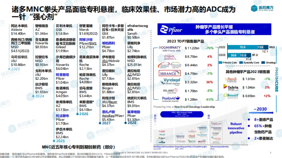 2024年ADC药物投融资及研发趋势分析报告_第7页
