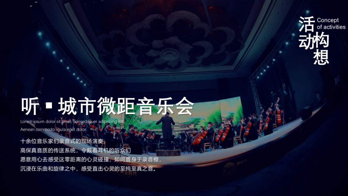 (极光秀-米其林-微距音乐会)集团项目国庆梦幻之城灯光节主题活动_第9页