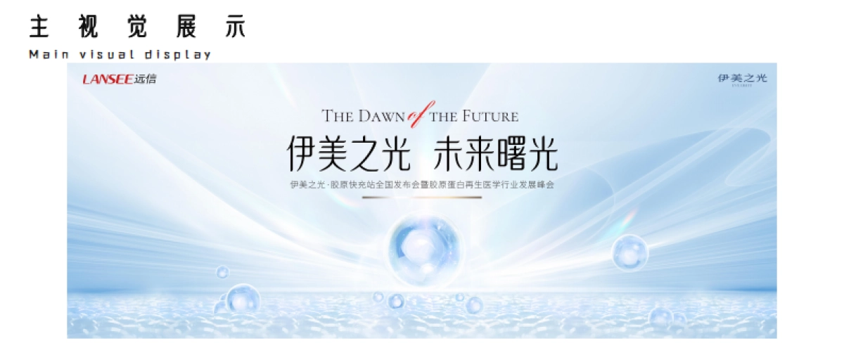 医美品牌伊美之光·胶原快充站全国发布会暨胶原蛋白再生医学行业发展峰会活动策划案_第8页