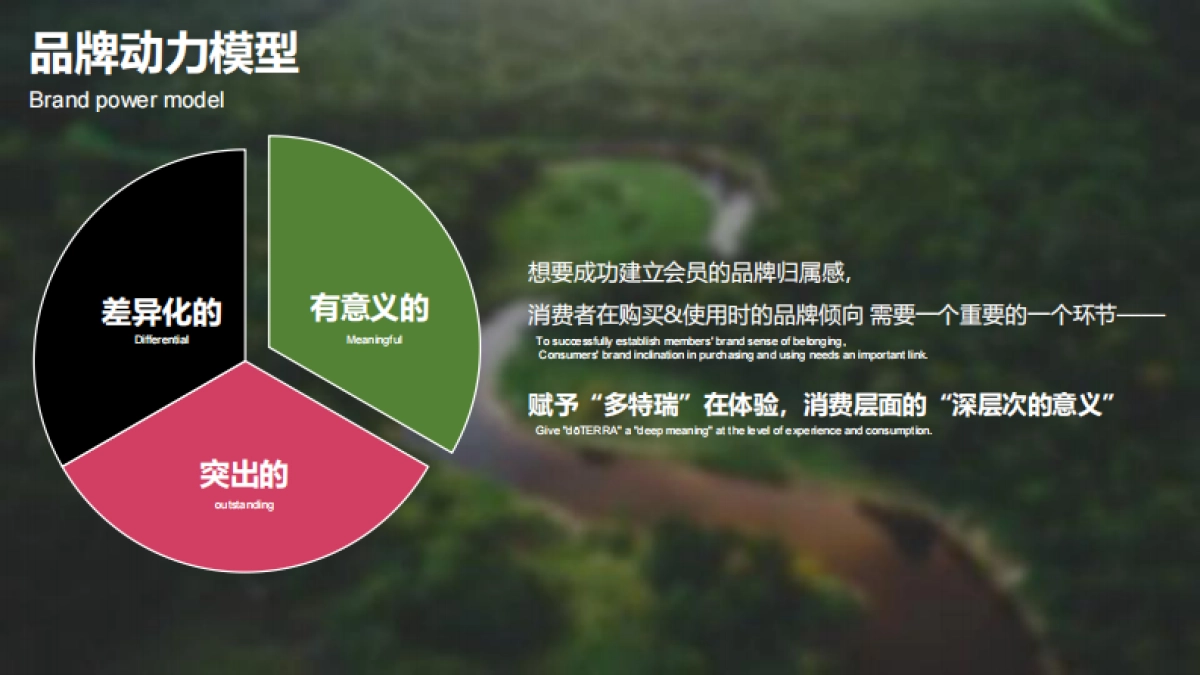 多特瑞66精油节营销传播提案_第10页