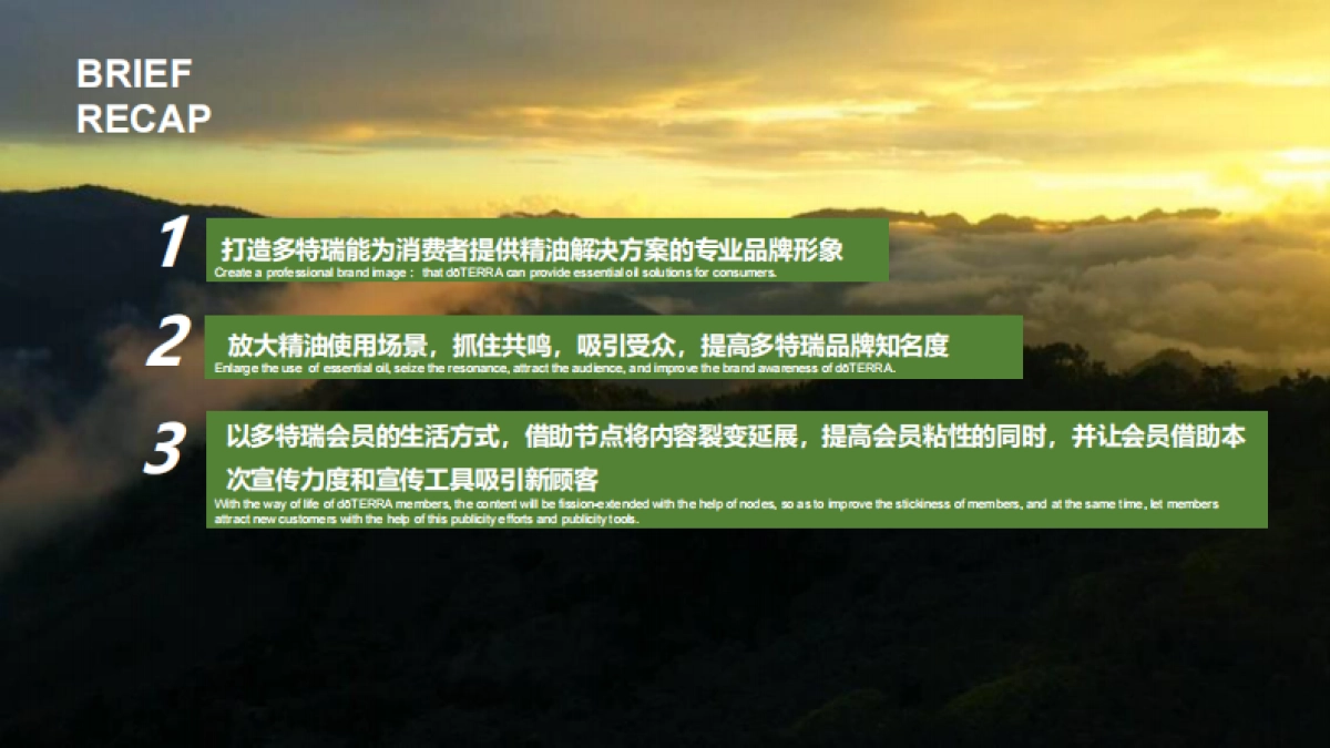 多特瑞66精油节营销传播提案_第2页