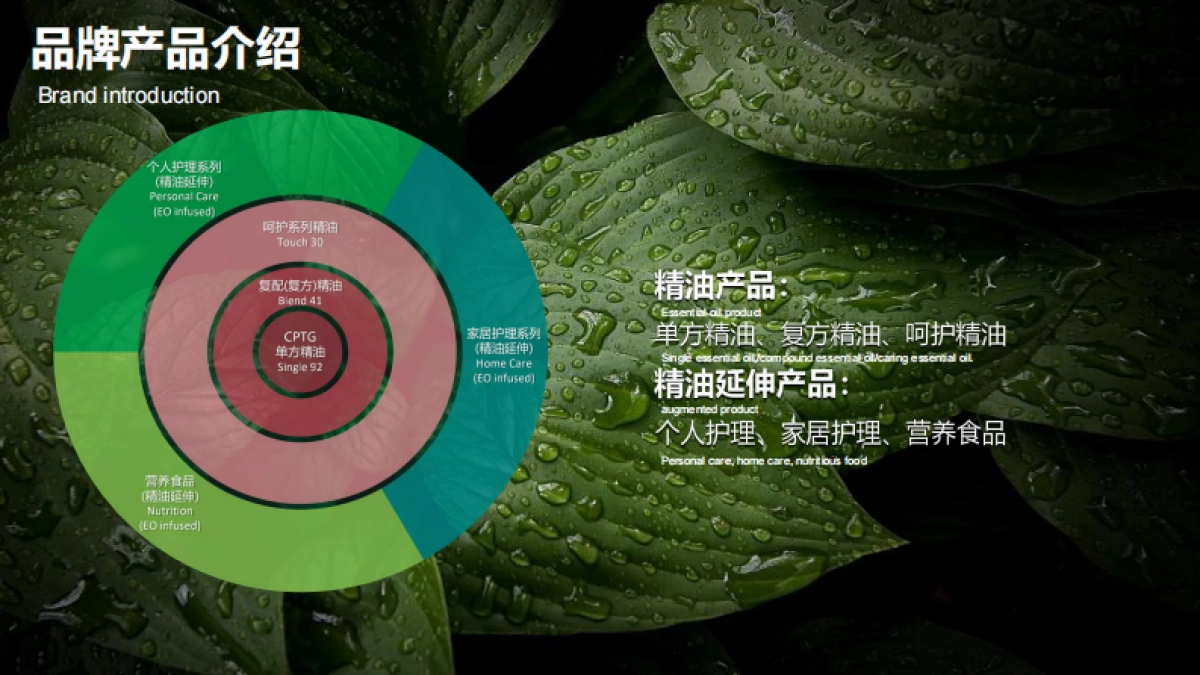 多特瑞66精油节营销传播提案_第5页