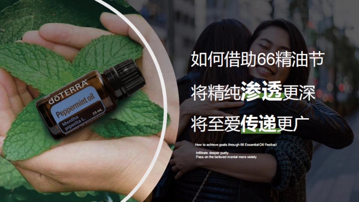 多特瑞66精油节营销传播提案_第8页