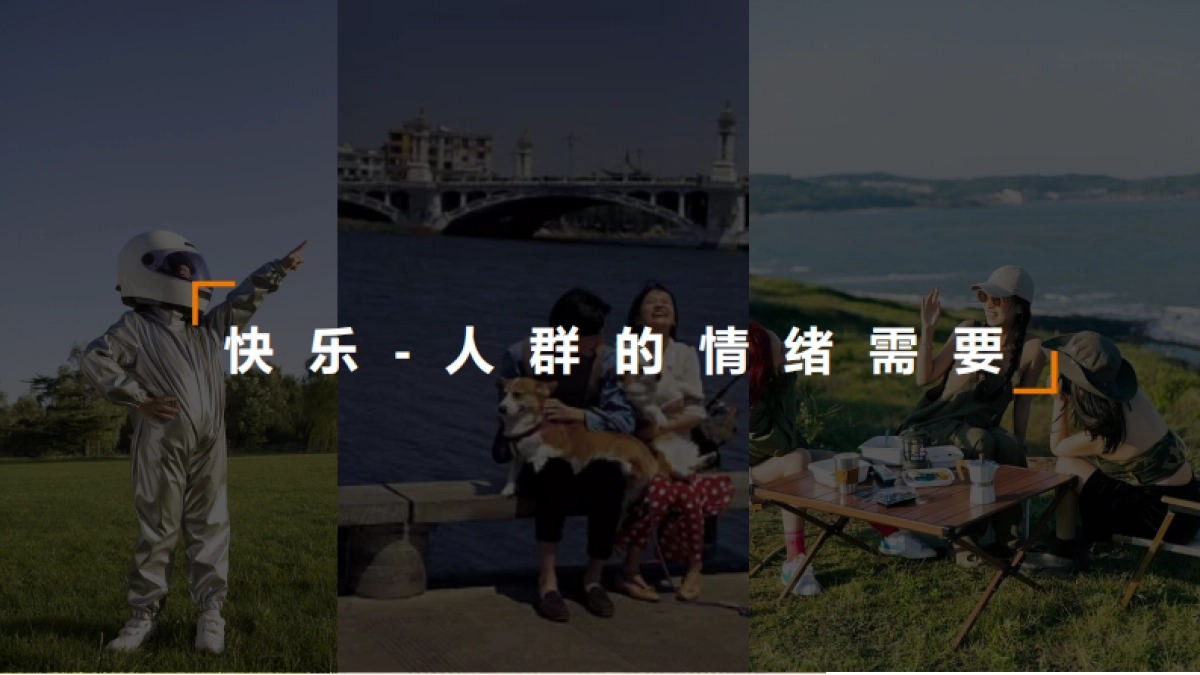 乐可嗨卤味零食品牌定位方案 _第4页