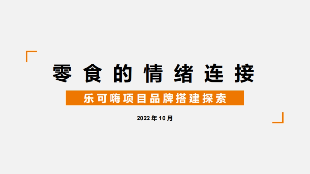 乐可嗨卤味零食品牌定位方案 _第5页