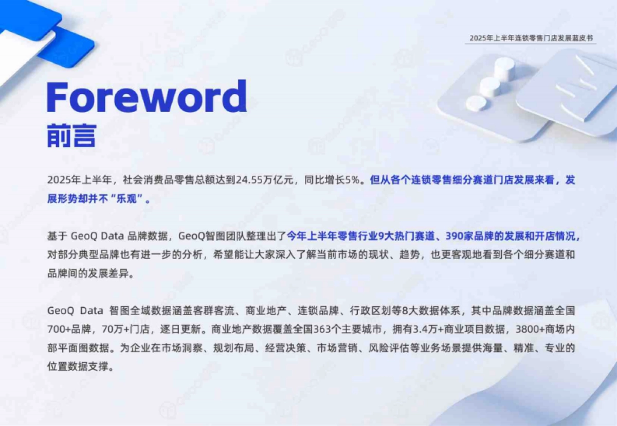 2025年上半年连锁零售门店发展蓝皮书_第2页