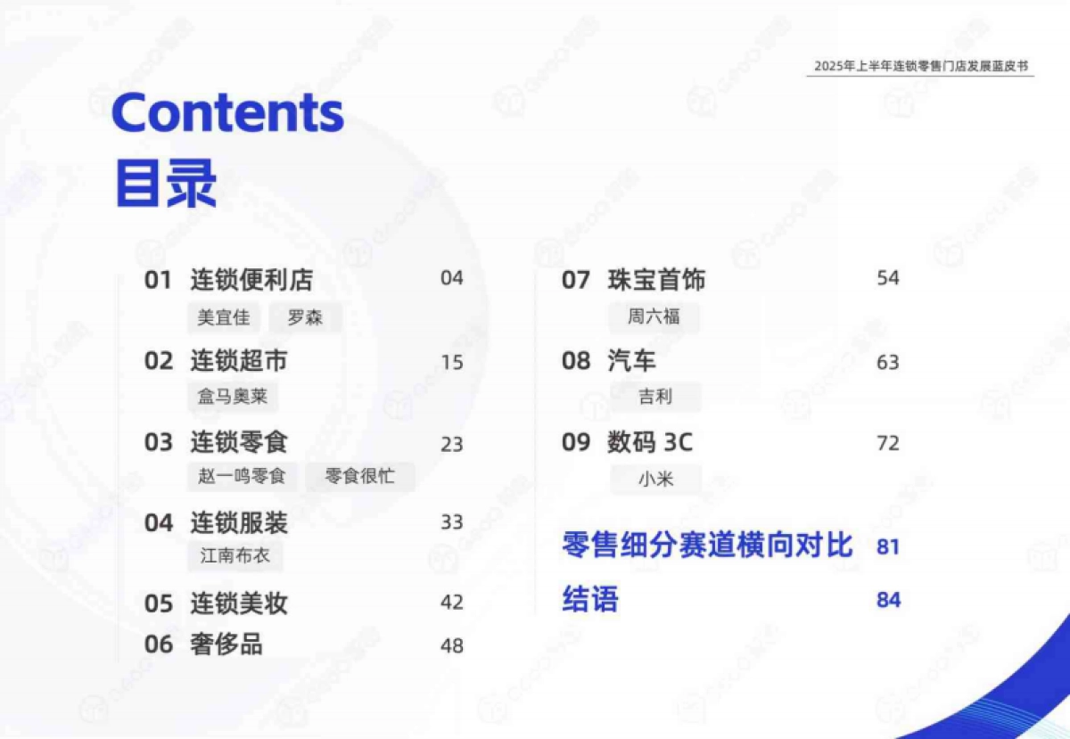 2025年上半年连锁零售门店发展蓝皮书_第3页