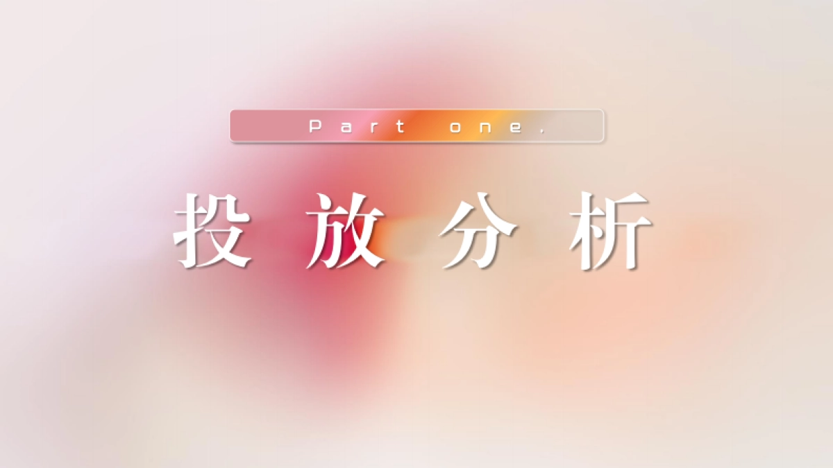 护肤品牌施丹兰小红书营销方案_第3页