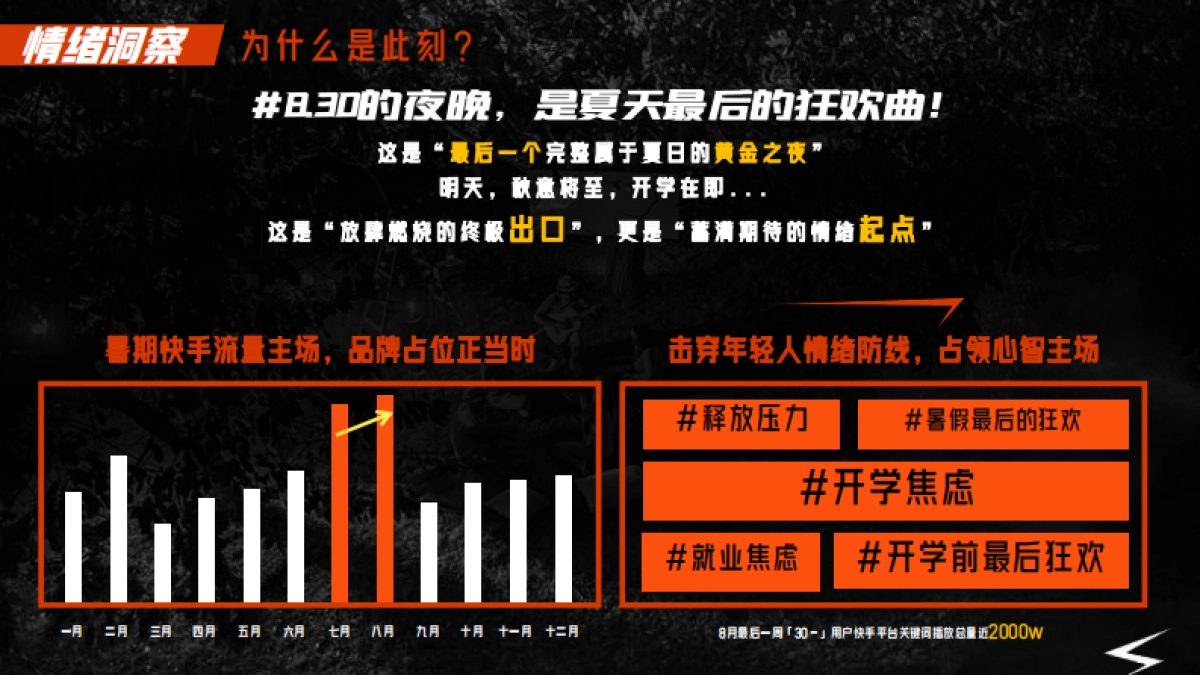 2025快手超级夏晚招商方案_第5页