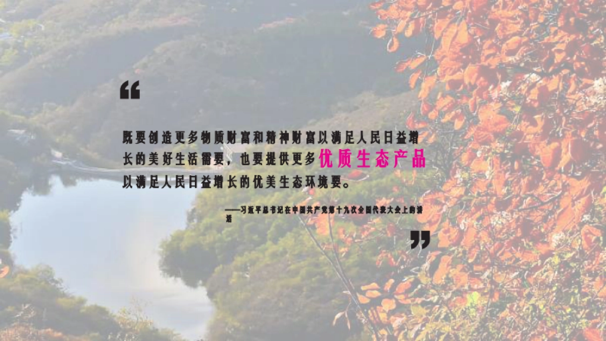 首都湖区公园体育公园设计规划方案_第2页