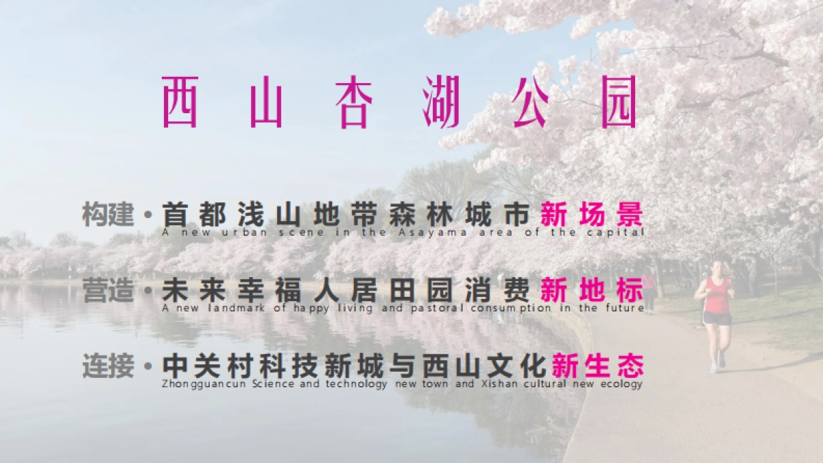 首都湖区公园体育公园设计规划方案_第6页