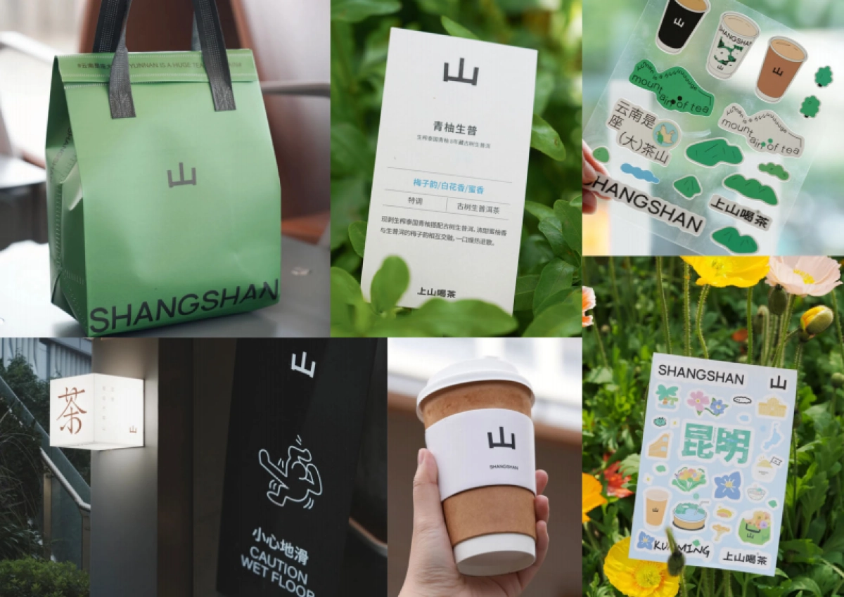 上山喝茶品牌资料全收录_第9页