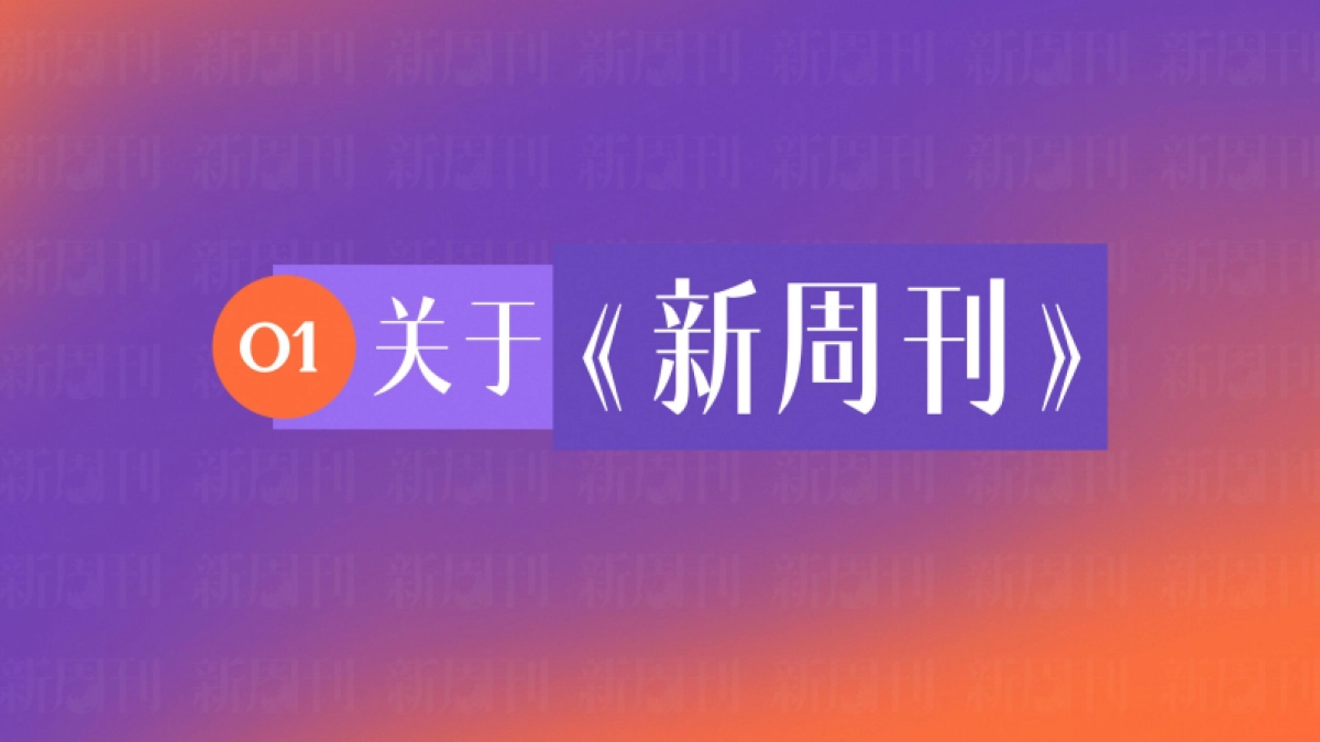 2025新周刊品牌手册_第3页