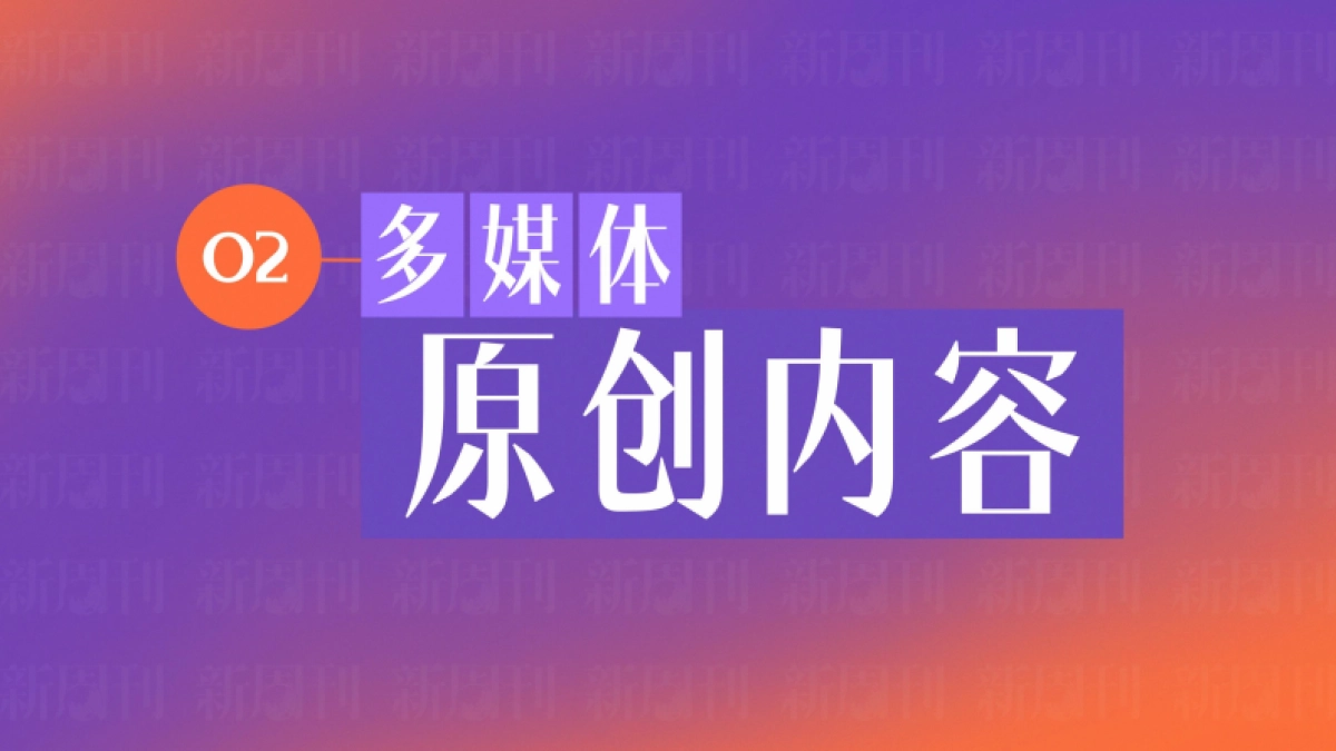 2025新周刊品牌手册_第9页