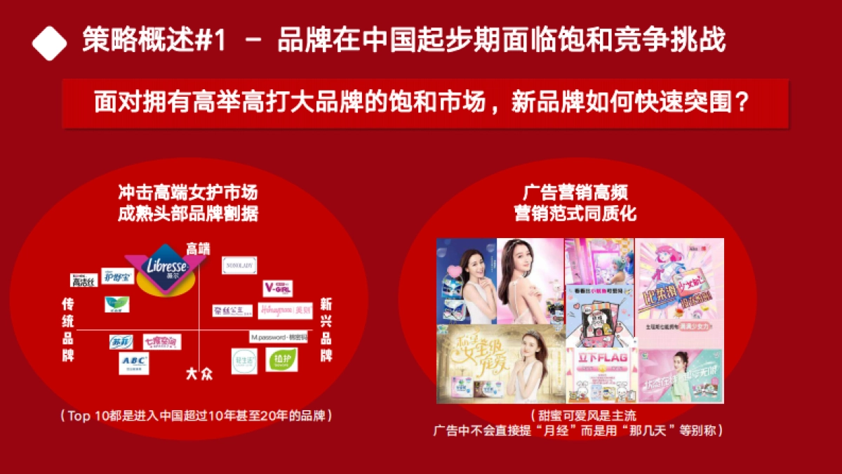 薇尔整合推广方案_第4页