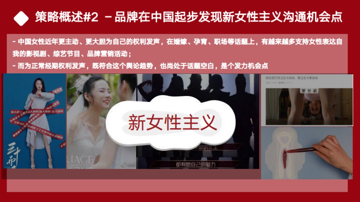 薇尔整合推广方案_第6页