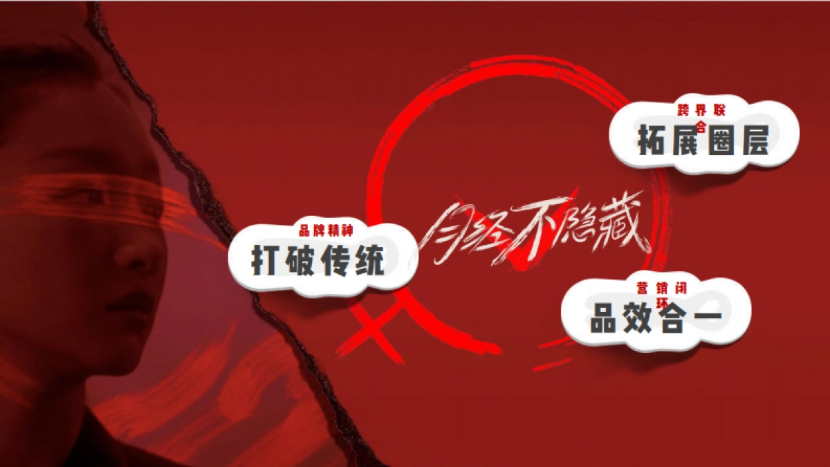 薇尔整合推广方案_第7页