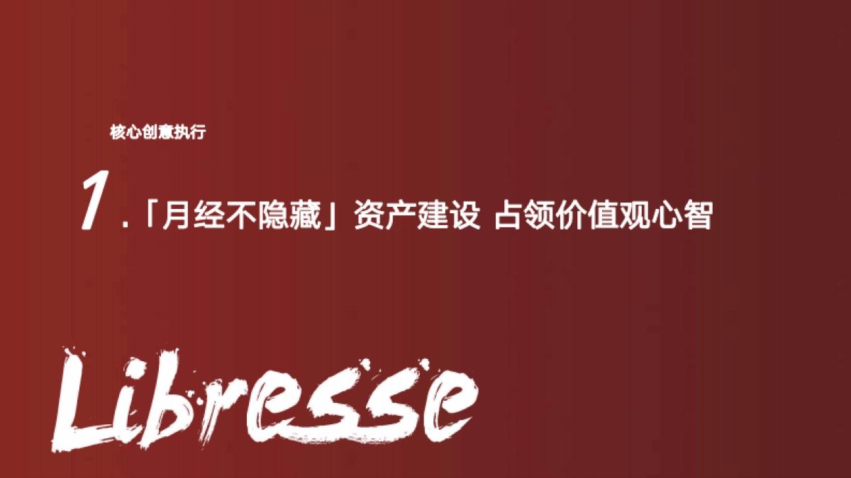 薇尔整合推广方案_第9页