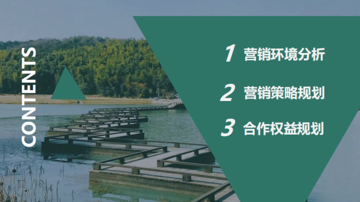 文旅抖音IP内容营销规划方案_第2页