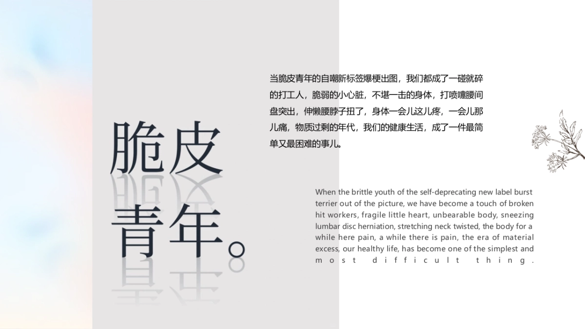 青年养生局之回春疗愈计划IP活动推介方案_第2页