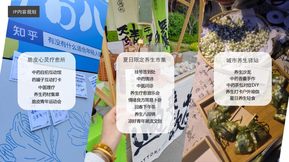 青年养生局之回春疗愈计划IP活动推介方案_第7页