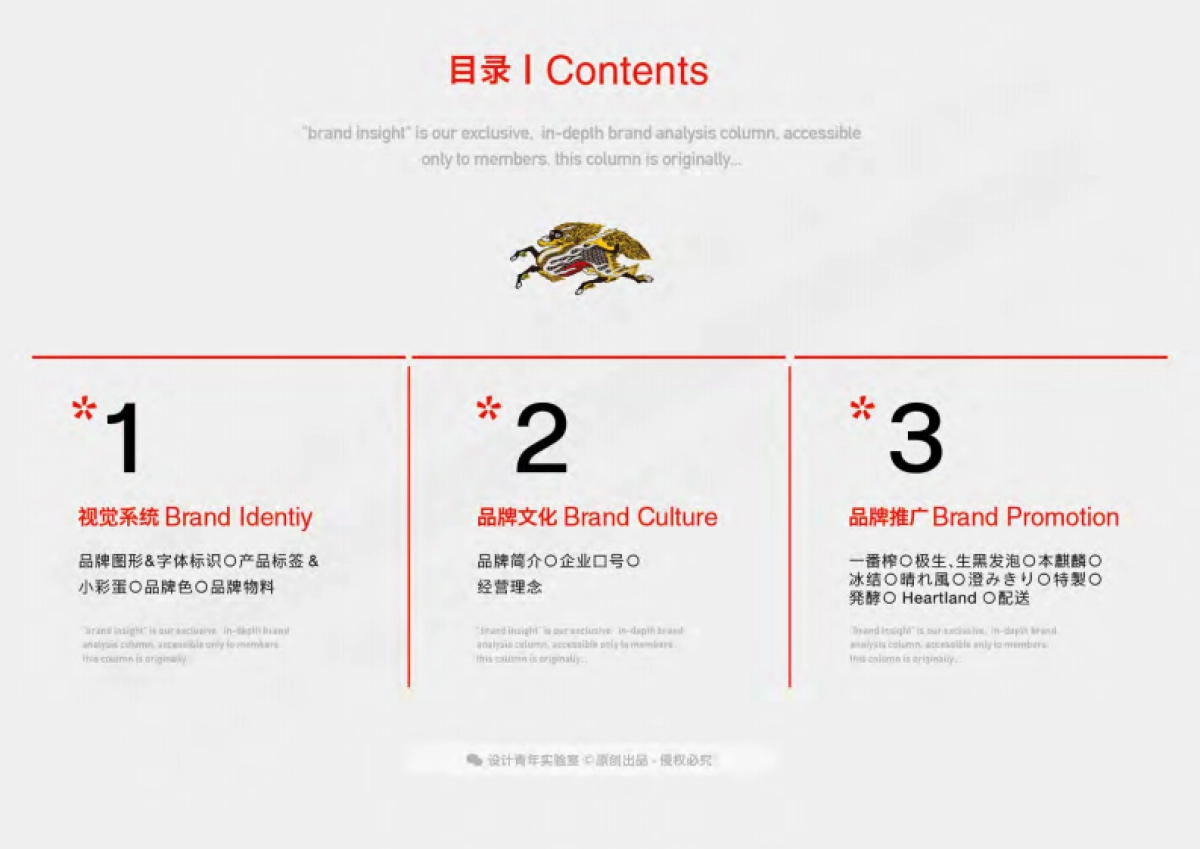 KIRIN麒麟啤酒品牌资料全收录_第2页