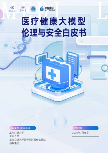 2025年医疗健康大模型伦理与安全白皮书
