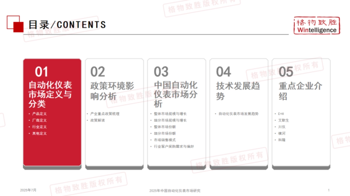 2025年中国自动化仪表行业市场白皮书_第2页