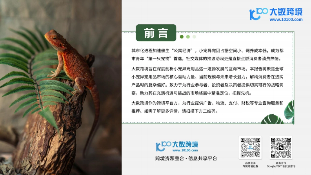 2025小宠异宠用品市场洞察报告_第2页