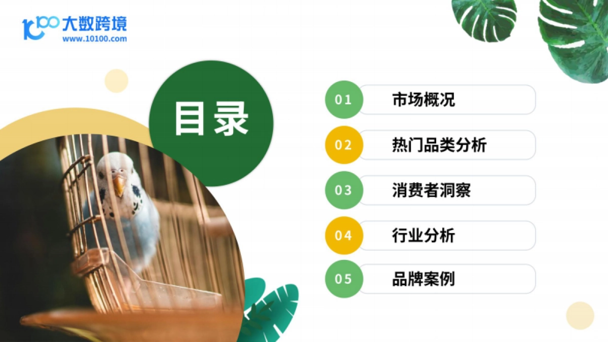 2025小宠异宠用品市场洞察报告_第3页