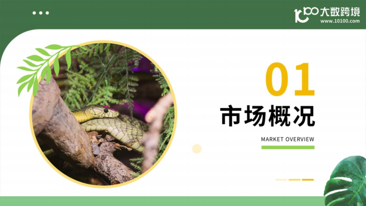 2025小宠异宠用品市场洞察报告_第4页