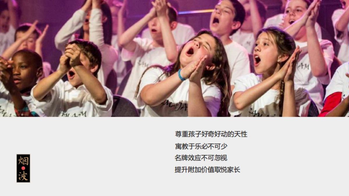 大唐烟波岛景区品牌运营方案_第10页