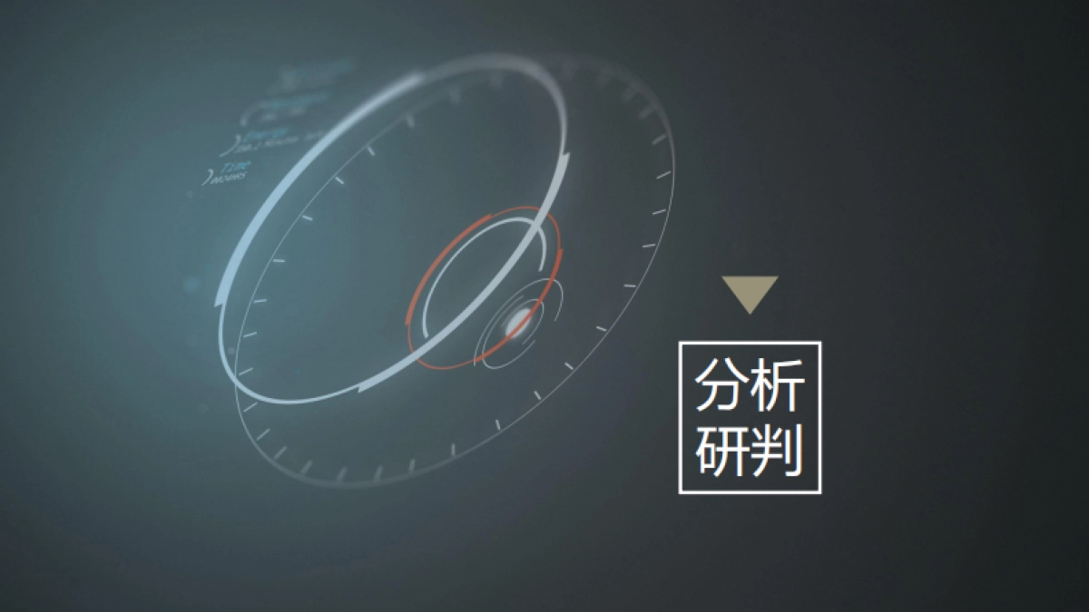 大唐烟波岛景区品牌运营方案_第3页