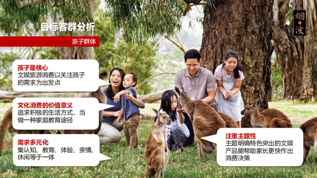 大唐烟波岛景区品牌运营方案_第9页