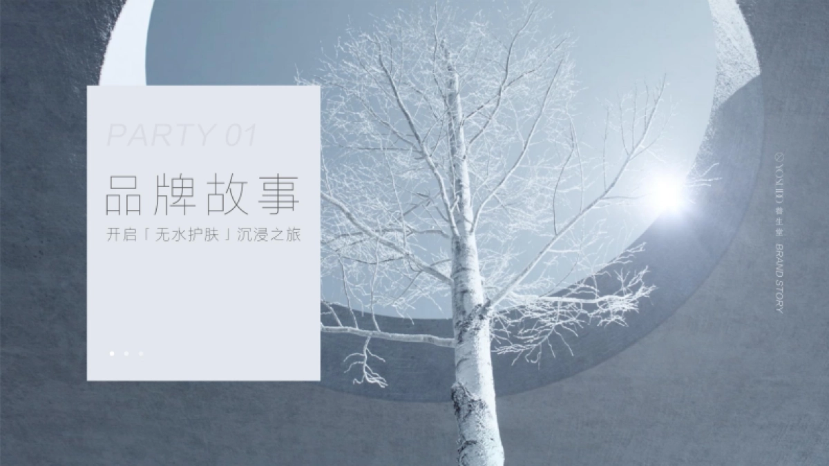 养生堂 品牌手册_第3页