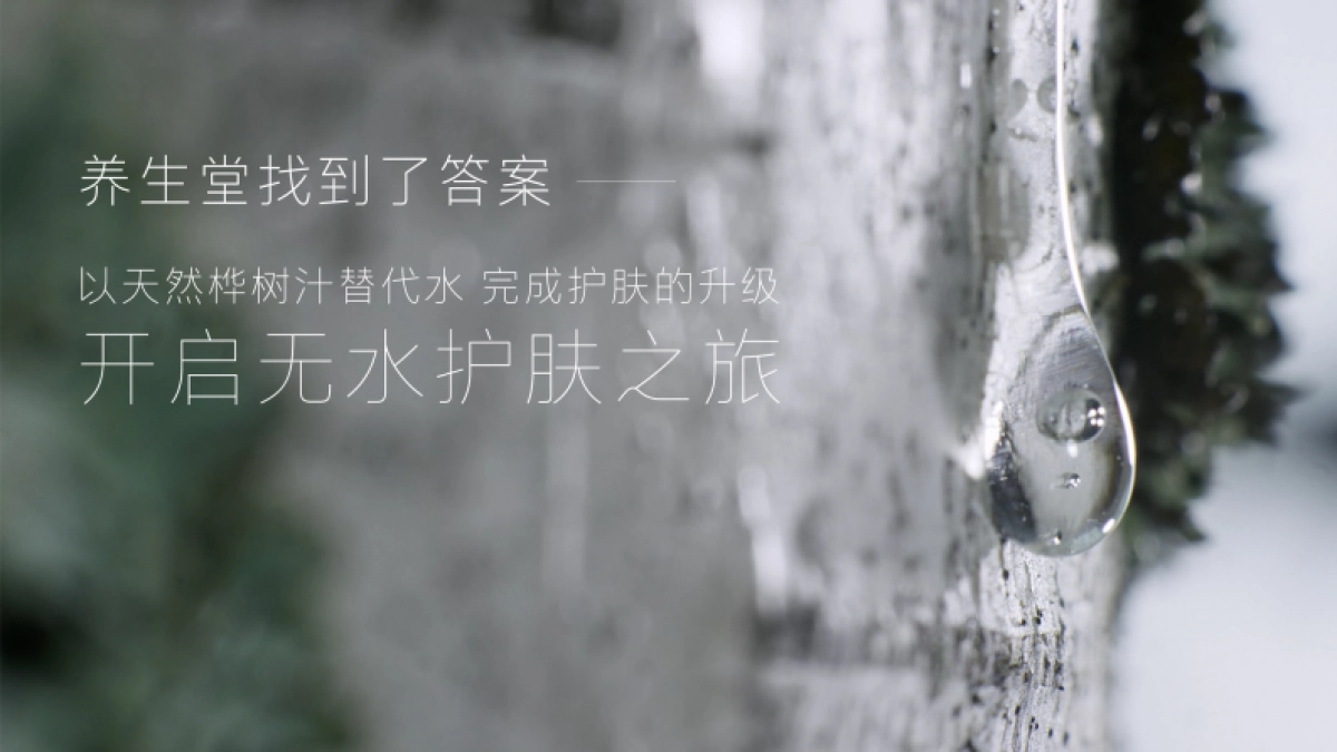 养生堂 品牌手册_第5页